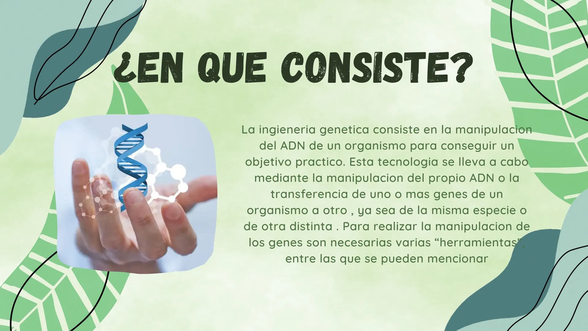 ¿EN QUE CONSISTE?
La ingieneria genetica consiste en la manipulacion
del ADN de un organismo para conseguir un
objetivo practico. Esta tecno