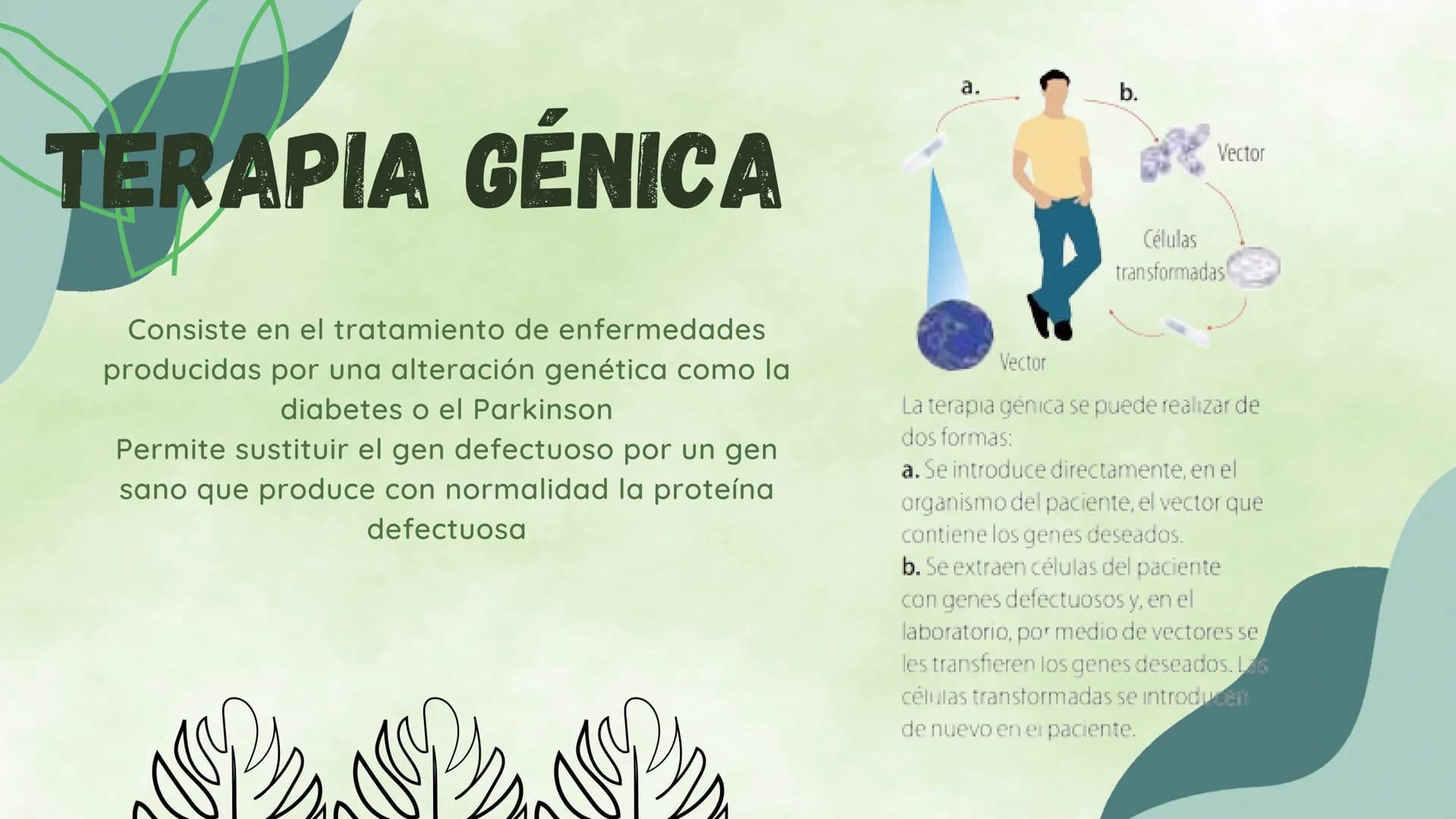 ¿EN QUE CONSISTE?
La ingieneria genetica consiste en la manipulacion
del ADN de un organismo para conseguir un
objetivo practico. Esta tecno