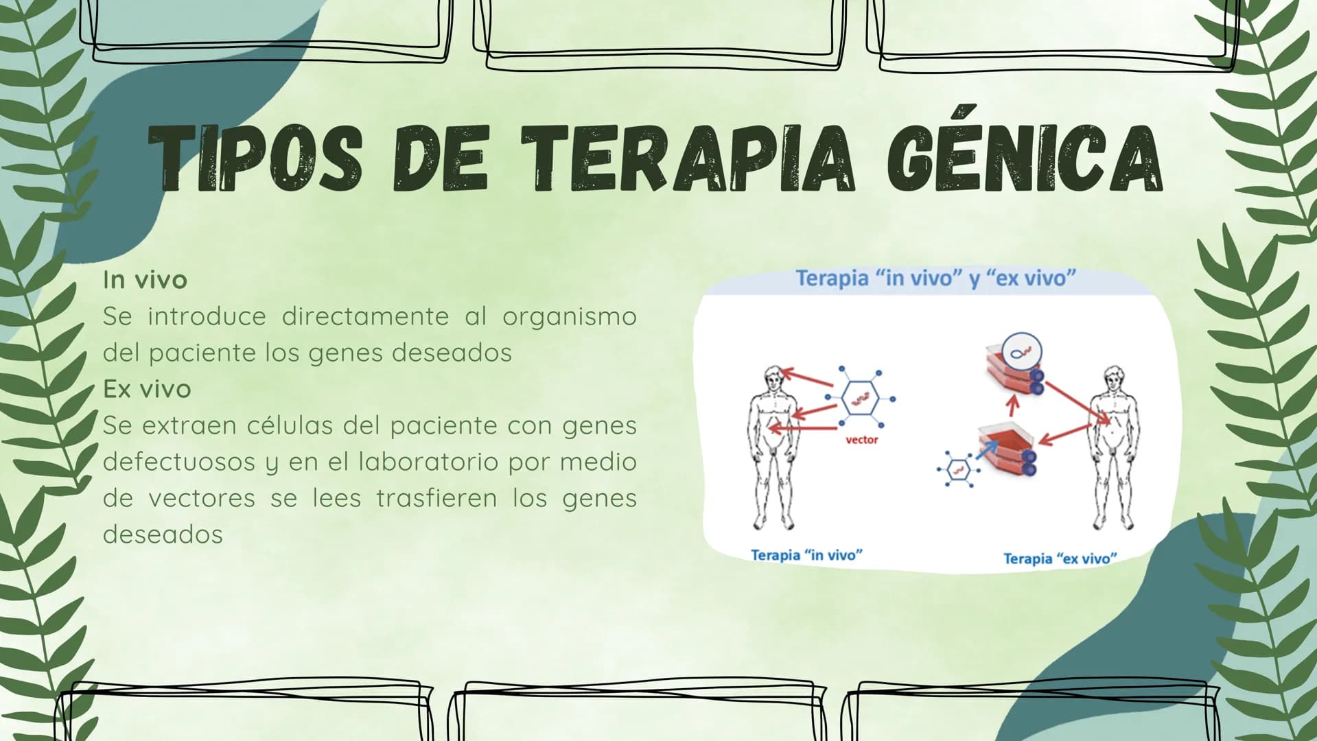 ¿EN QUE CONSISTE?
La ingieneria genetica consiste en la manipulacion
del ADN de un organismo para conseguir un
objetivo practico. Esta tecno