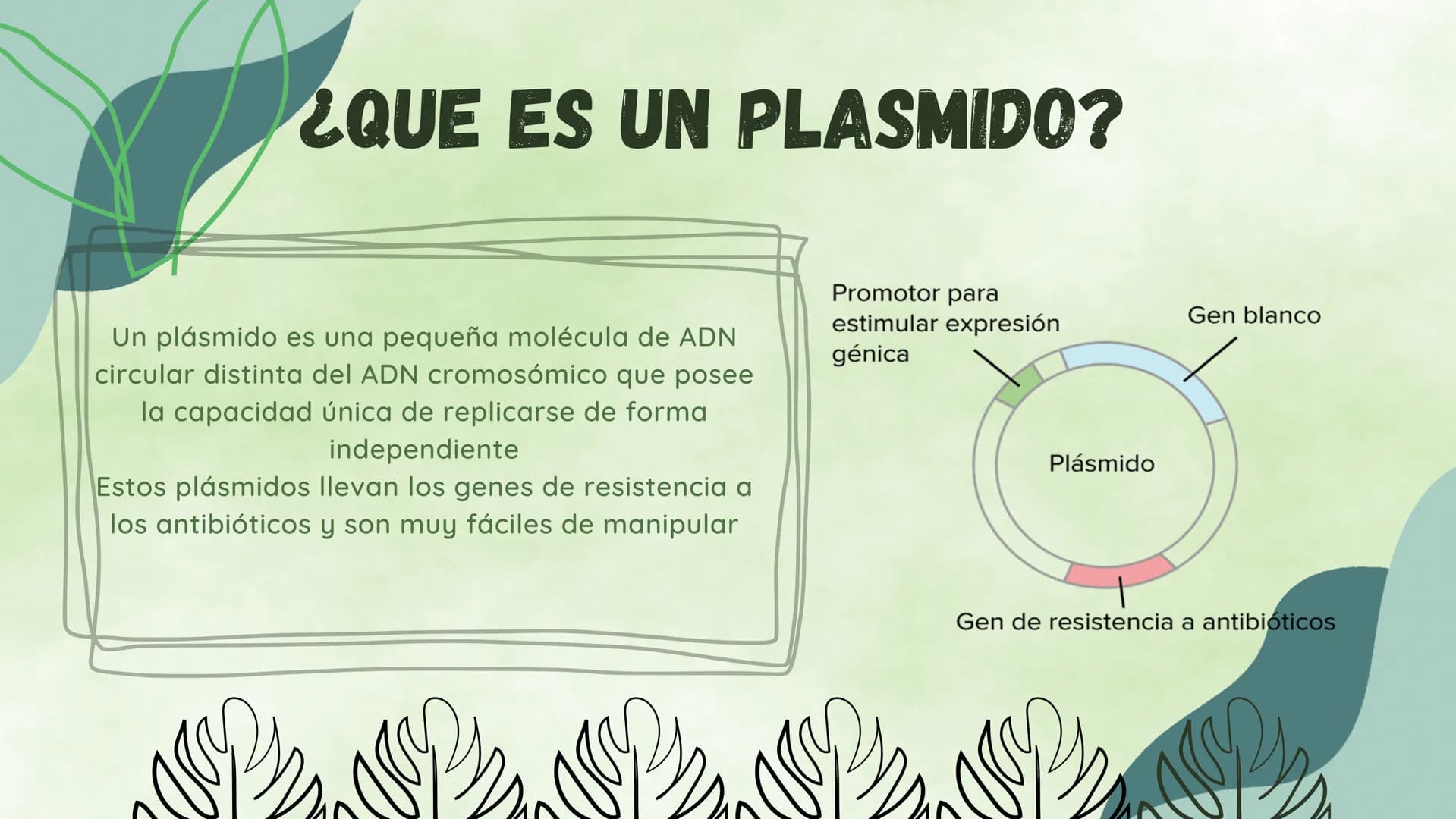 ¿EN QUE CONSISTE?
La ingieneria genetica consiste en la manipulacion
del ADN de un organismo para conseguir un
objetivo practico. Esta tecno
