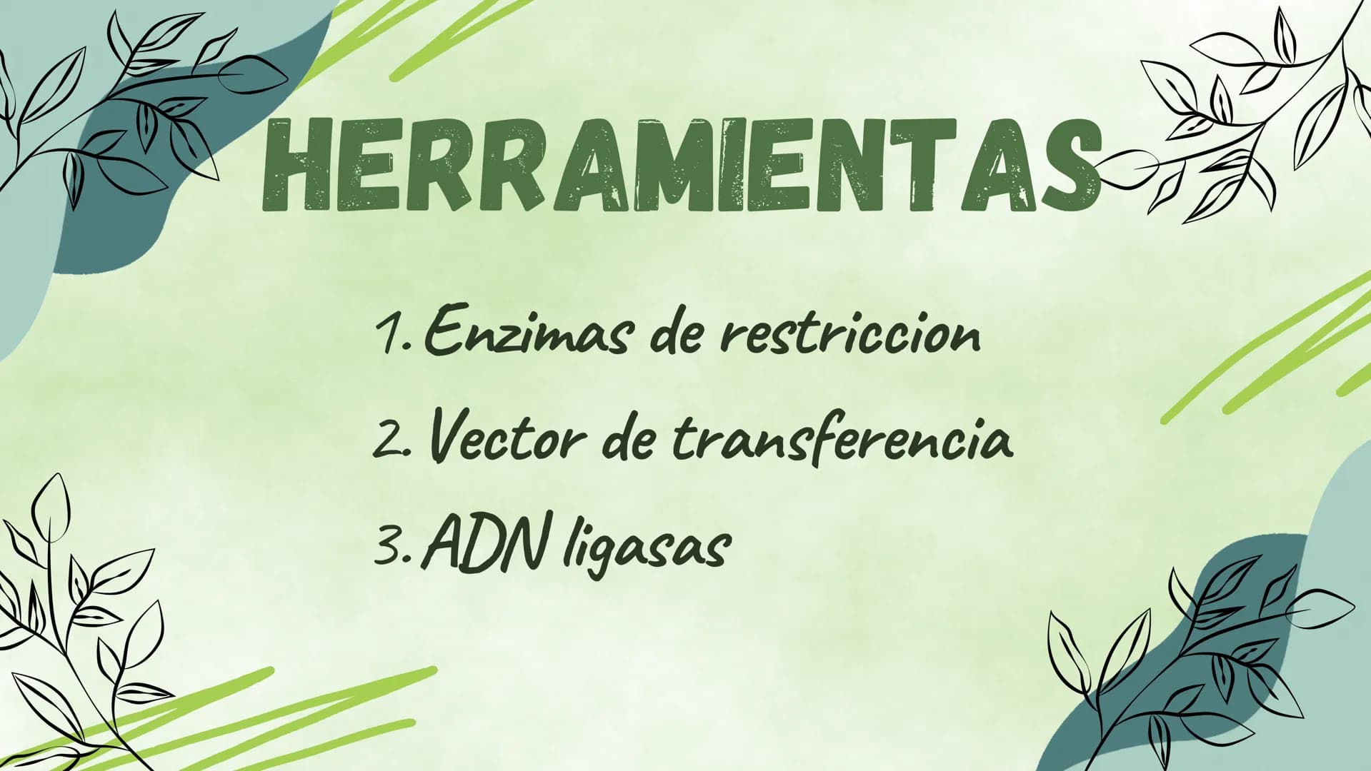 ¿EN QUE CONSISTE?
La ingieneria genetica consiste en la manipulacion
del ADN de un organismo para conseguir un
objetivo practico. Esta tecno