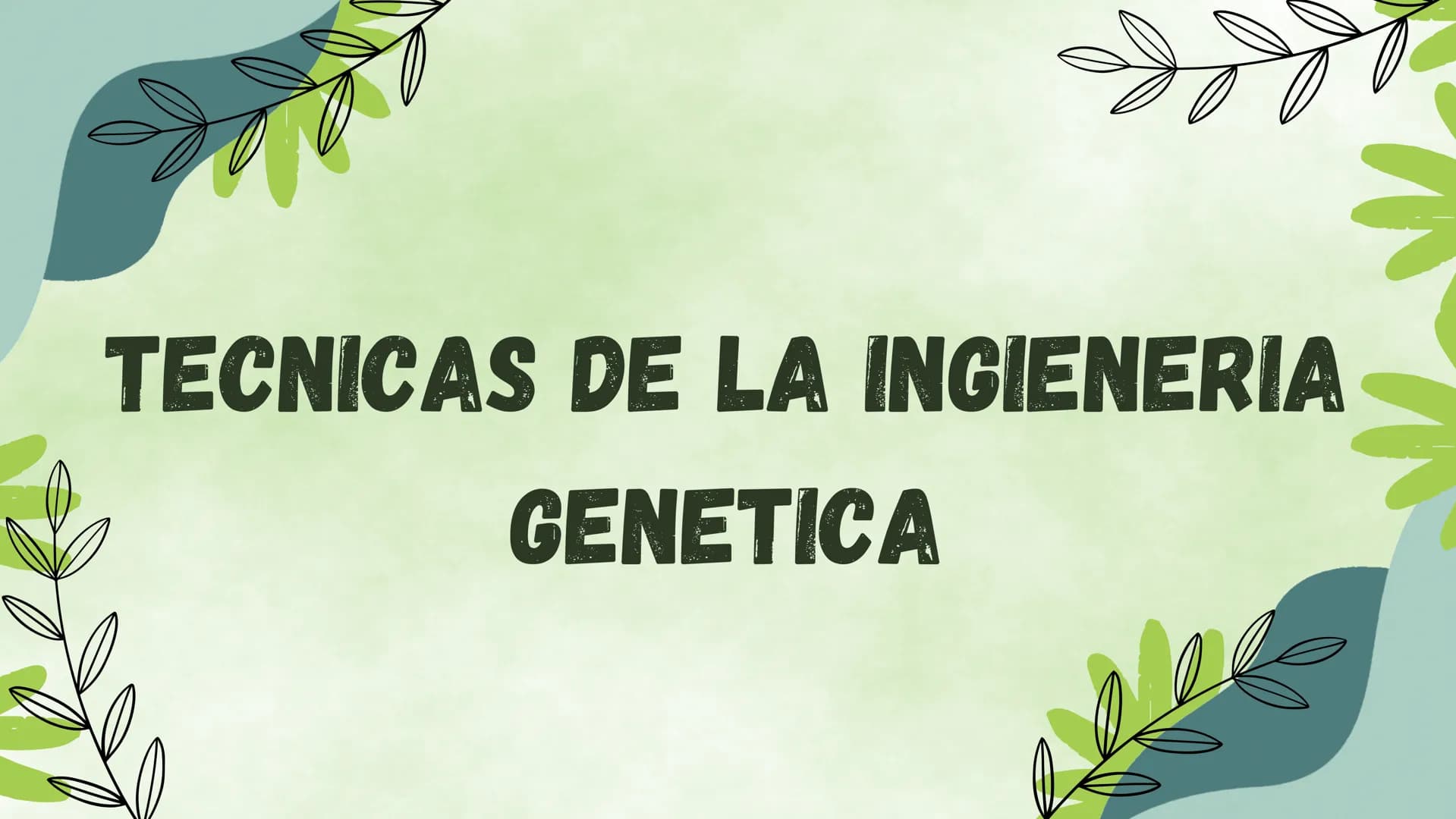 ¿EN QUE CONSISTE?
La ingieneria genetica consiste en la manipulacion
del ADN de un organismo para conseguir un
objetivo practico. Esta tecno