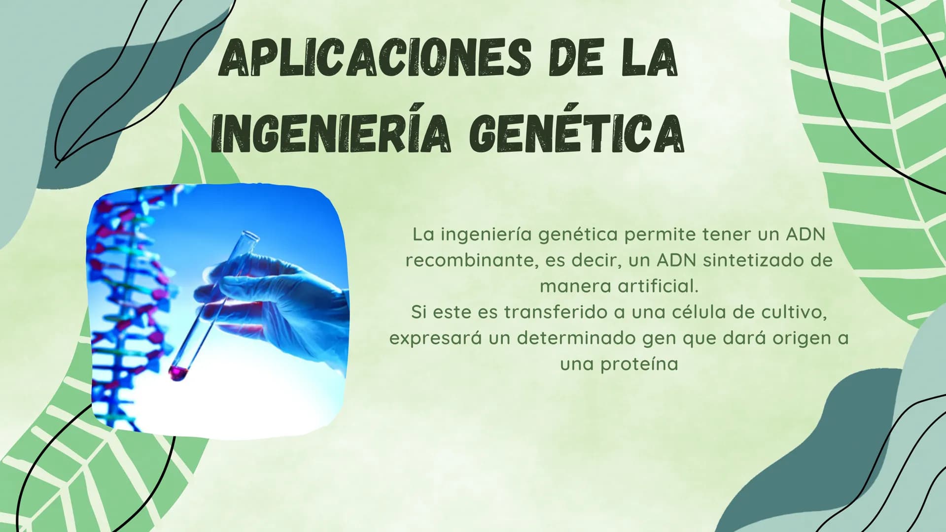 ¿EN QUE CONSISTE?
La ingieneria genetica consiste en la manipulacion
del ADN de un organismo para conseguir un
objetivo practico. Esta tecno