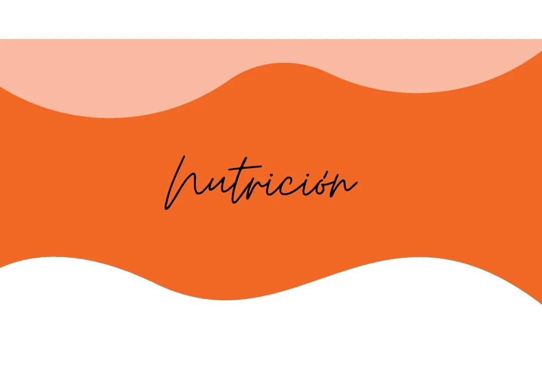 Nutrición 