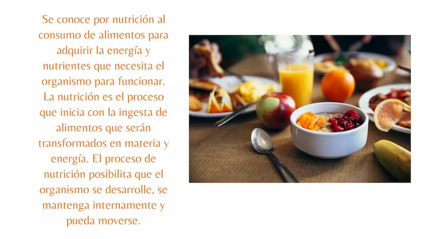 putrición Se conoce por nutrición al
consumo de alimentos para
adquirir la energía y
nutrientes que necesita el
organismo para funcionar.
La