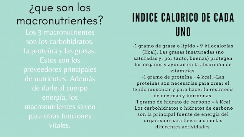 putrición Se conoce por nutrición al
consumo de alimentos para
adquirir la energía y
nutrientes que necesita el
organismo para funcionar.
La
