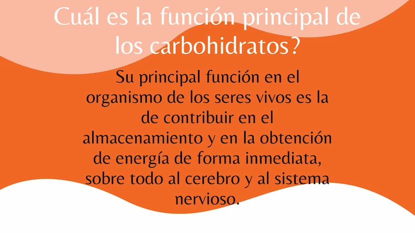 putrición Se conoce por nutrición al
consumo de alimentos para
adquirir la energía y
nutrientes que necesita el
organismo para funcionar.
La