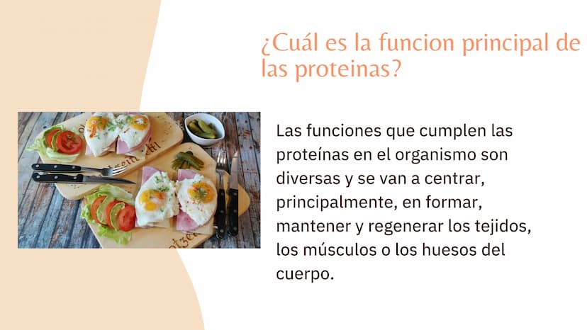 putrición Se conoce por nutrición al
consumo de alimentos para
adquirir la energía y
nutrientes que necesita el
organismo para funcionar.
La