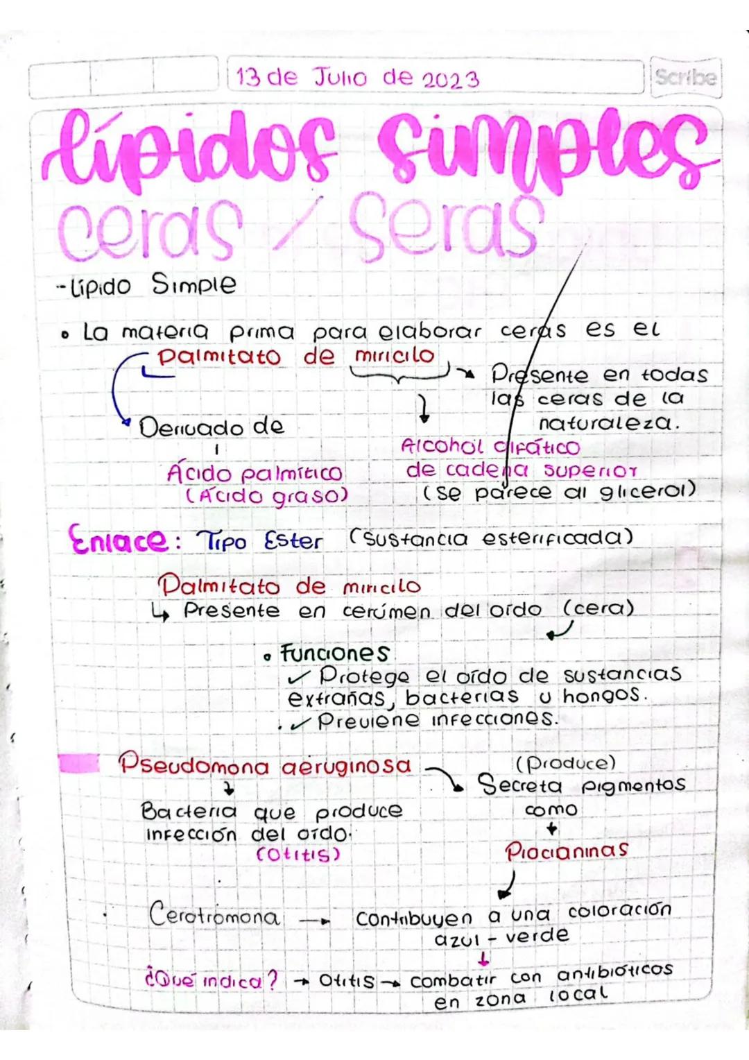 13 de Julio de 2023
Scribe
# lipidos simples
## ceras / Seras
-Lipido Simple

- La materia prima para elaborar ceras es el
Palmitato de miri