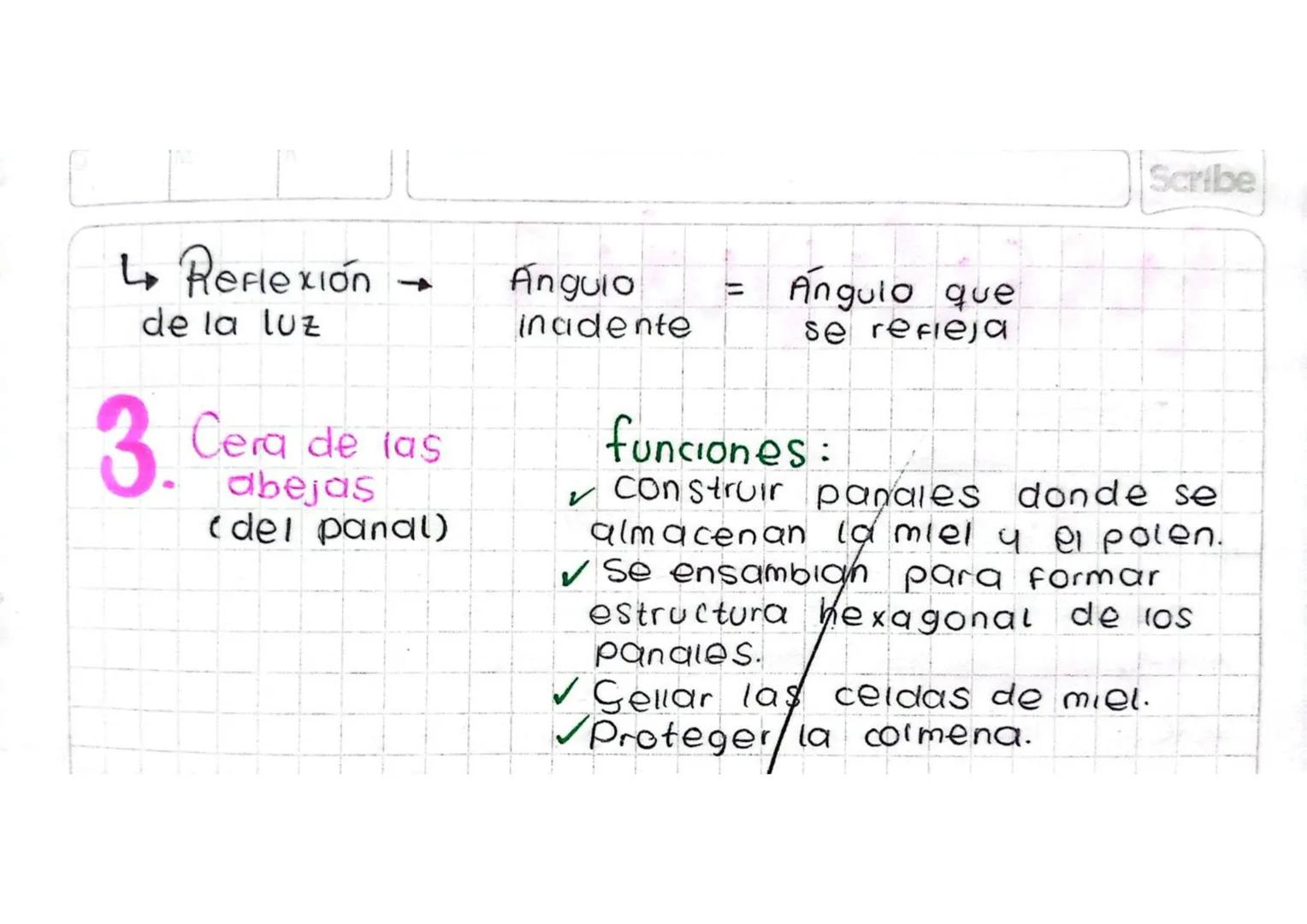 13 de Julio de 2023
Scribe
# lipidos simples
## ceras / Seras
-Lipido Simple

- La materia prima para elaborar ceras es el
Palmitato de miri
