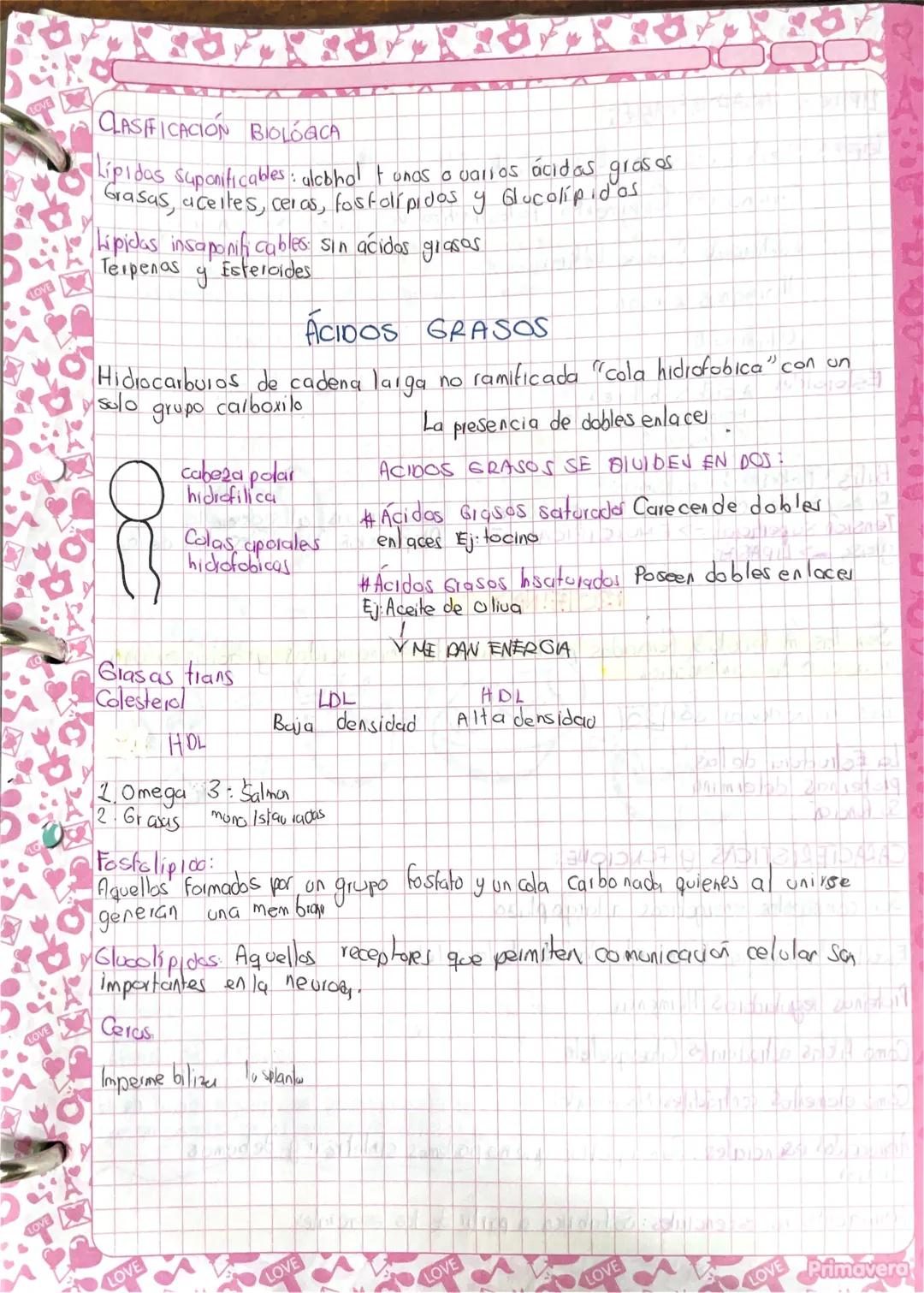 # CLASIFICACIÓN BIOLÓGICA
Lipidas suponificables: alcohol tunas a varios ácidos grasos
Grasas, aceites, ceras, fosfolípidos y Glucolipidos

