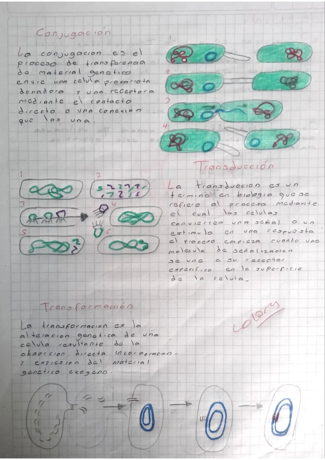 Infografía 