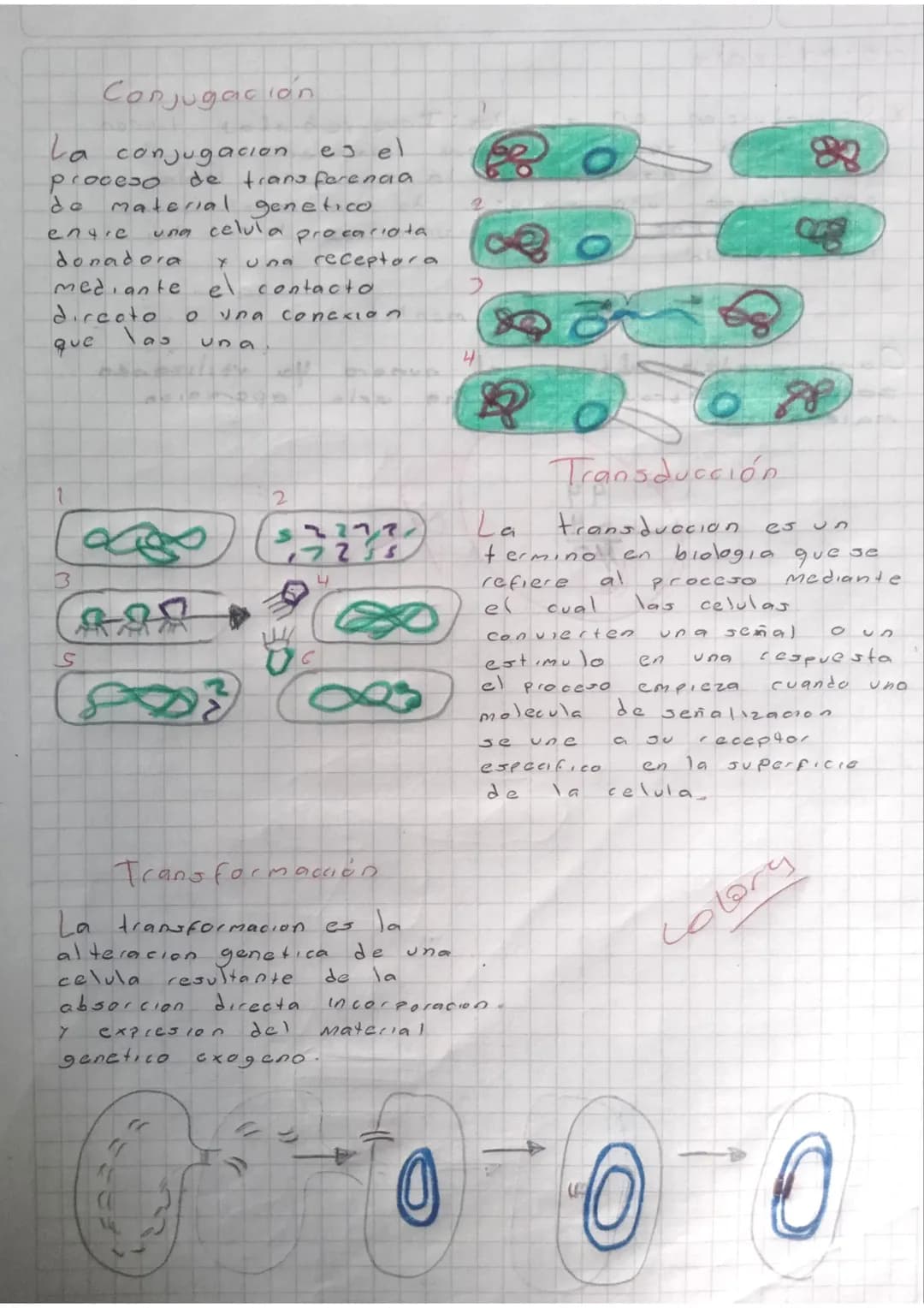 Conjugación
La conjugacion
es el
proceso
de
engre
de transferenaa
material genetico
una celula procariota
donadora
Y
2
receptora
mediante el