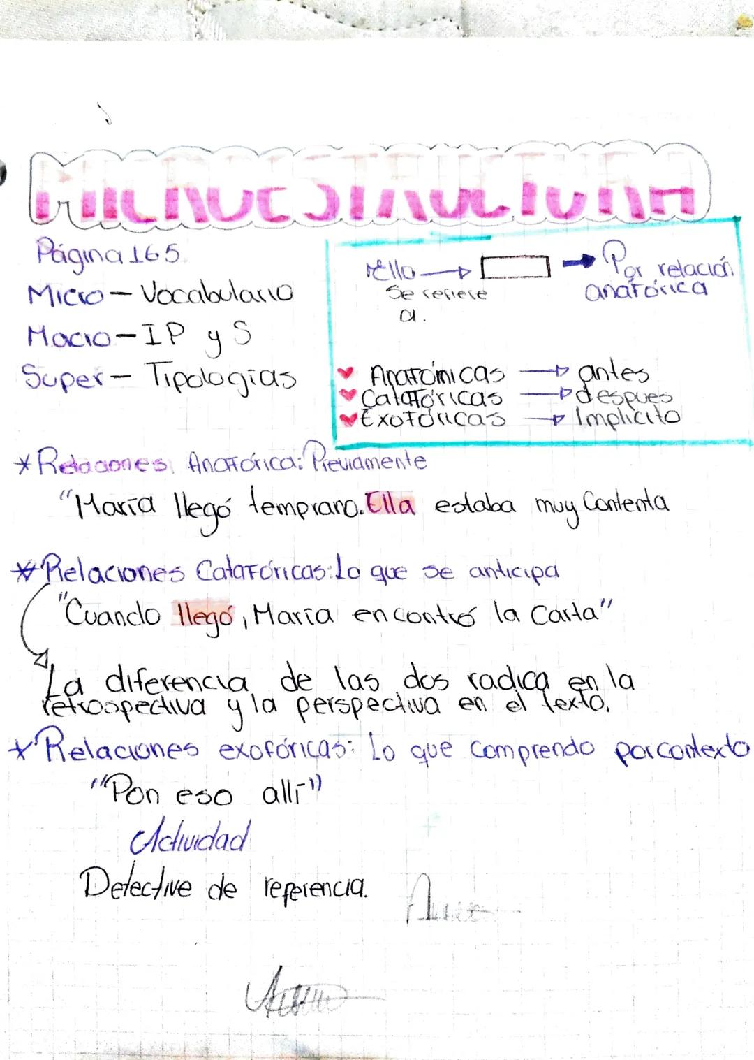 # PICNOC STRUCTUR

Página 165.

Micro-Vocabulario

Macio-IP y S

Super-Tipologias

ello

Se refiere

a.

→Por relación
anatórica

Anatomicas
