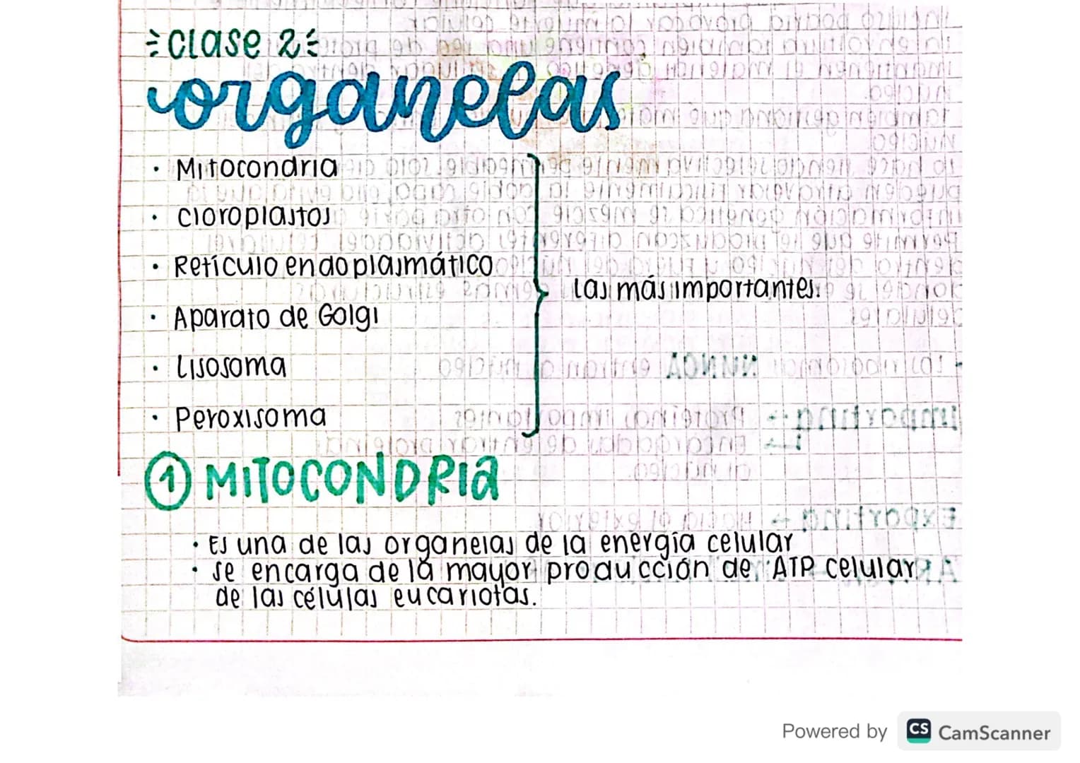 Eclase 29 by blog
•
organelas
Mitocondria D 0102191309199919LIDNON 92 of
cloroplasto 1904 pro 959 GÐ HÓD DINNEN
1900Divido 1970 NOK 1909
Ret