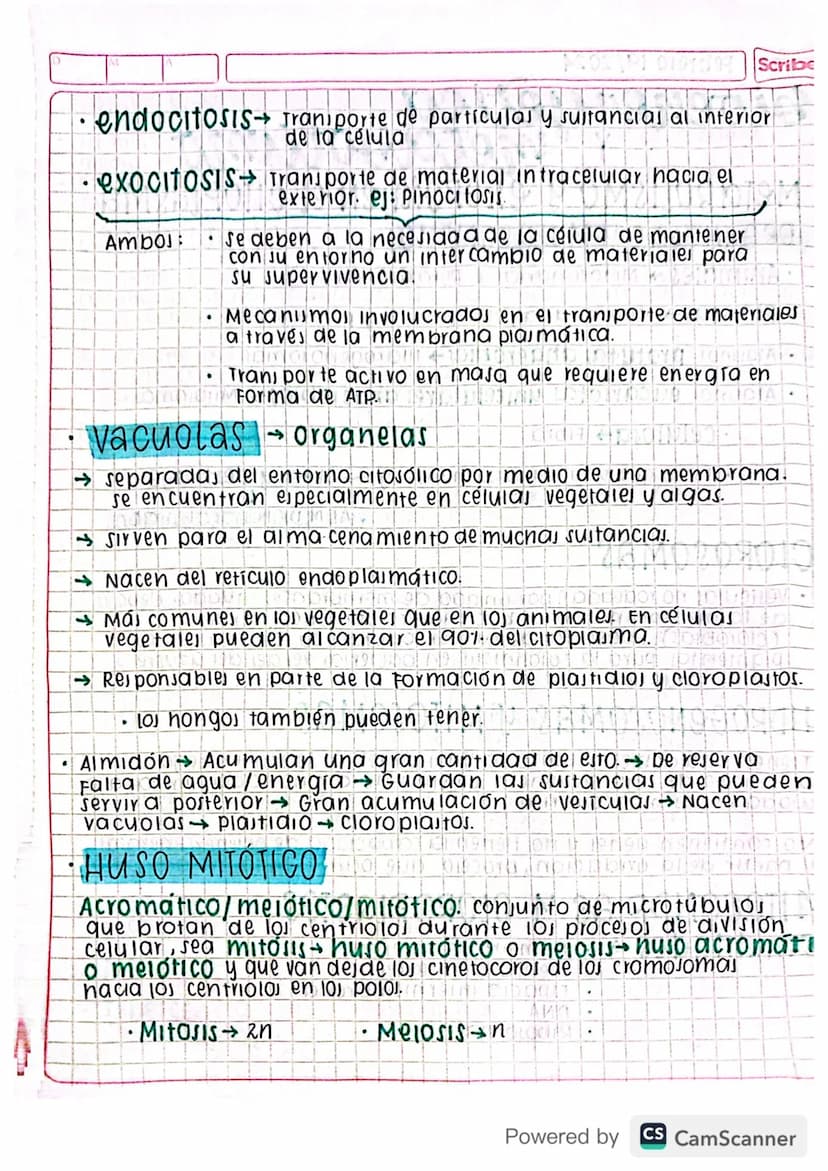 Eclase 29 by blog
•
organelas
Mitocondria D 0102191309199919LIDNON 92 of
cloroplasto 1904 pro 959 GÐ HÓD DINNEN
1900Divido 1970 NOK 1909
Ret