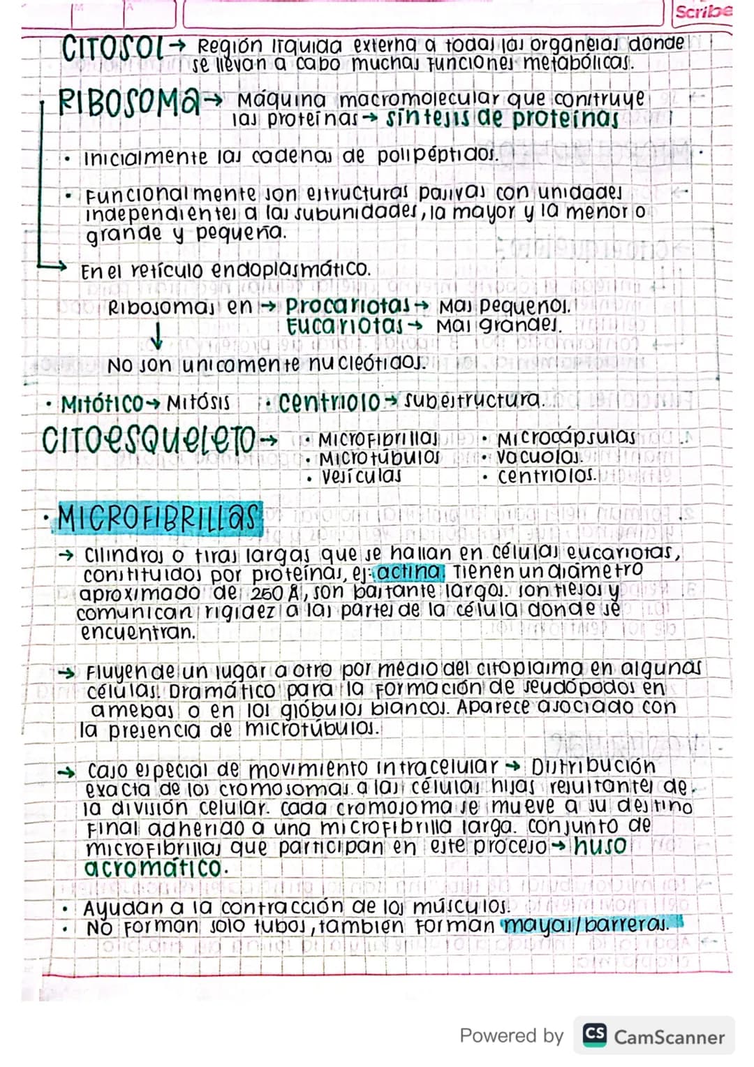 Eclase 29 by blog
•
organelas
Mitocondria D 0102191309199919LIDNON 92 of
cloroplasto 1904 pro 959 GÐ HÓD DINNEN
1900Divido 1970 NOK 1909
Ret