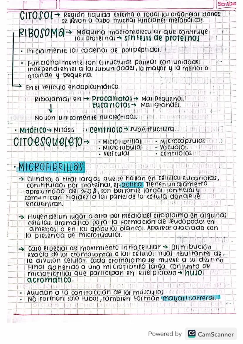 Eclase 29 by blog
•
organelas
Mitocondria D 0102191309199919LIDNON 92 of
cloroplasto 1904 pro 959 GÐ HÓD DINNEN
1900Divido 1970 NOK 1909
Ret