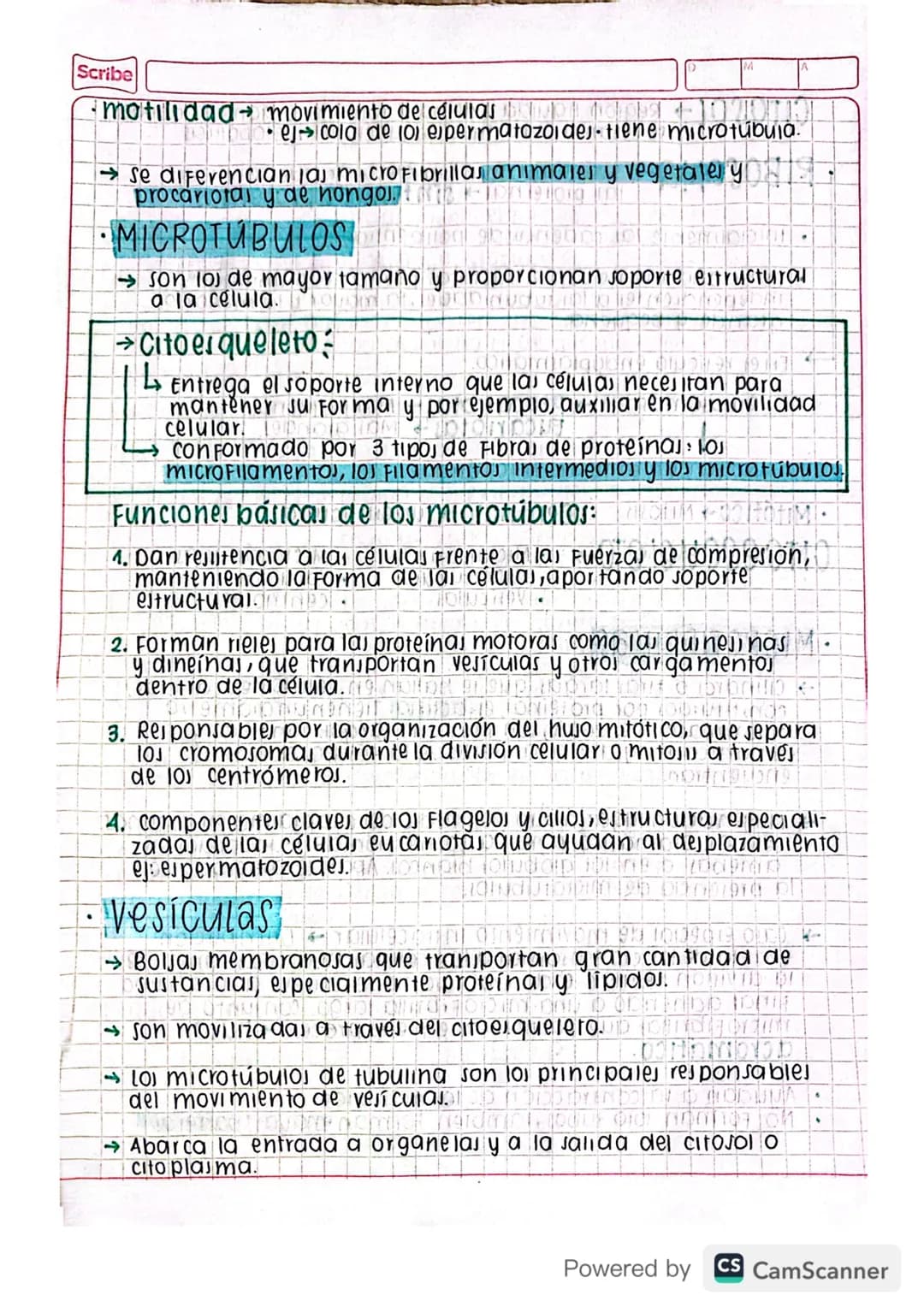 Eclase 29 by blog
•
organelas
Mitocondria D 0102191309199919LIDNON 92 of
cloroplasto 1904 pro 959 GÐ HÓD DINNEN
1900Divido 1970 NOK 1909
Ret
