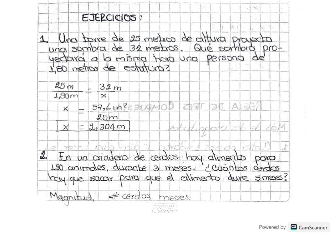 REGLA DE TRES EJERCICIOS