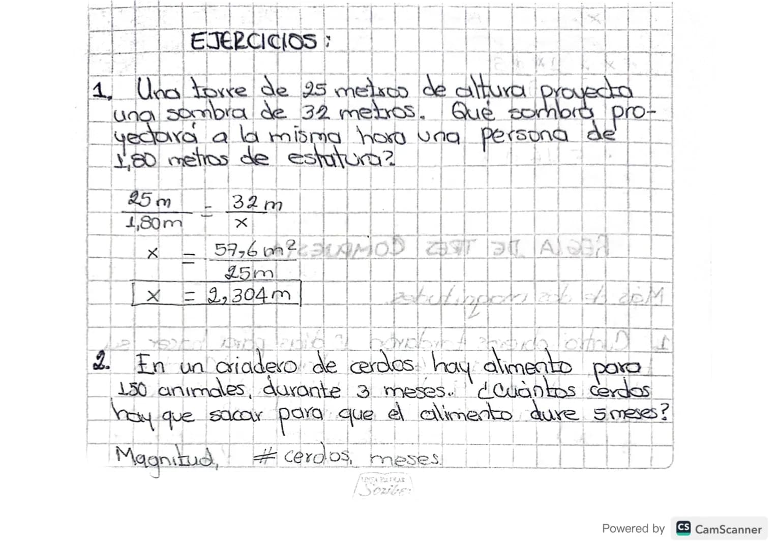 REGLA DE TRES EJERCICIOS