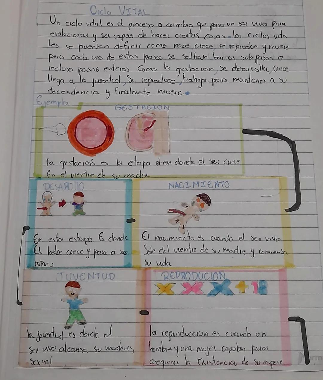 # Ciclo VITAL

Un ciclo urtal es el proceso a cambio que pasa un ser vivo para
evolucionar y ser capas de hacer cicitas cosas - los ciclos v