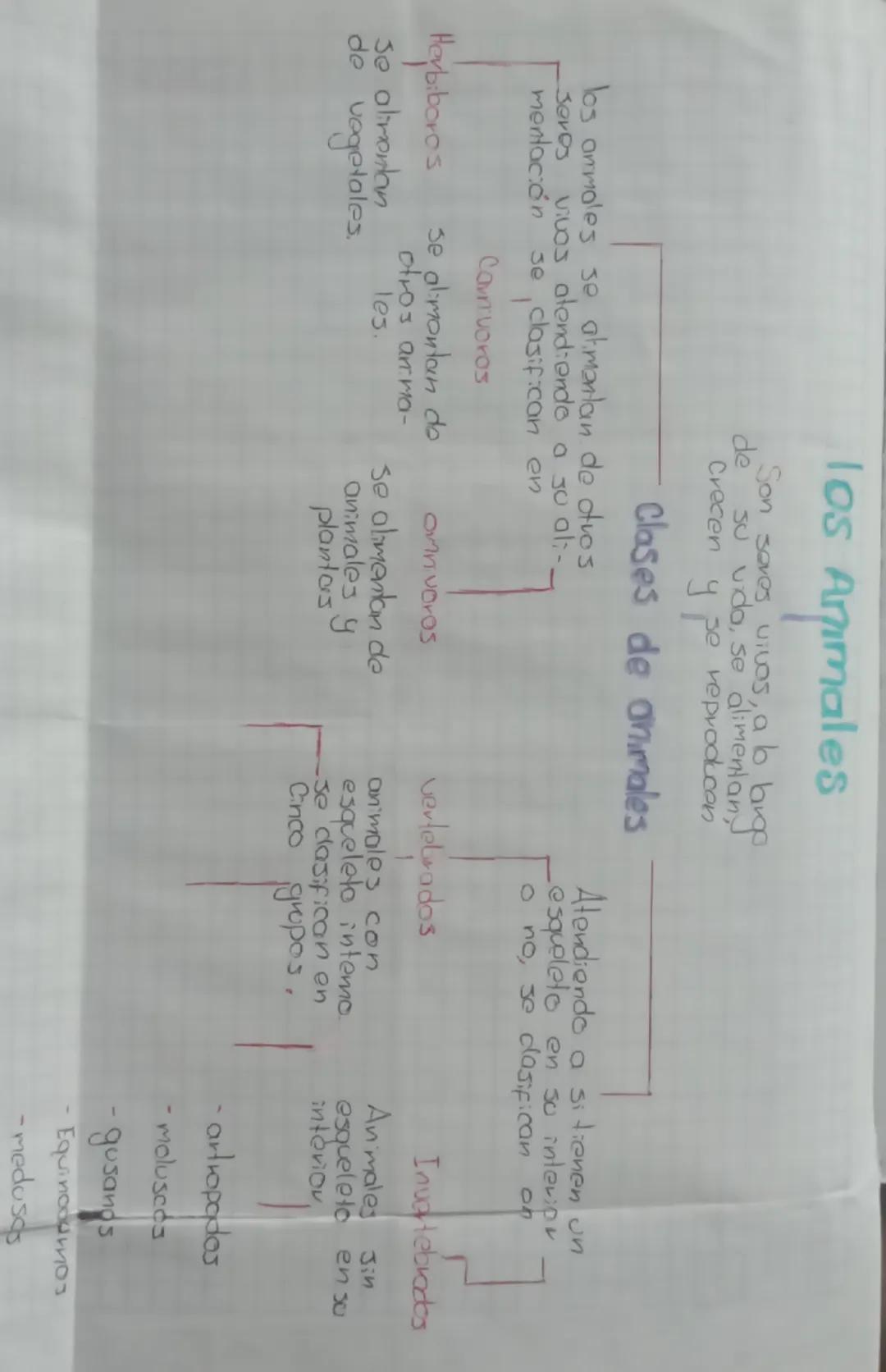 # los Animales

Son seres vivos, a lo largo
de su vida, se alimentany
Crecen y se reproducon

## Clases de animales

los ammales se atmantan