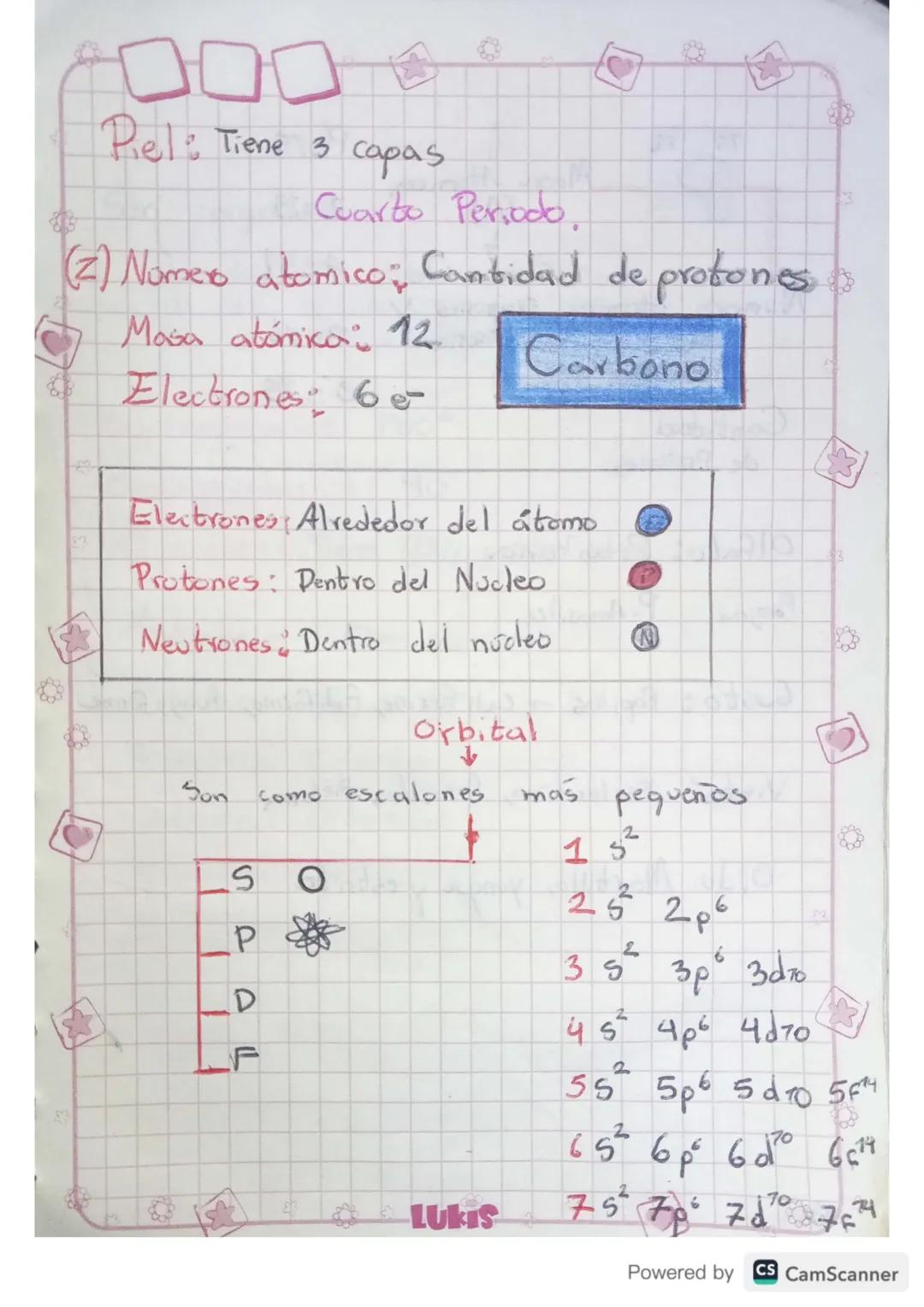 Piel: Tiene 3 capas

Cuarto Periodo.

(2) Número atomico, Cantidad de protones
Masa atómica: 12
Electrones, 6-

Carbono

Electrones Alrededo