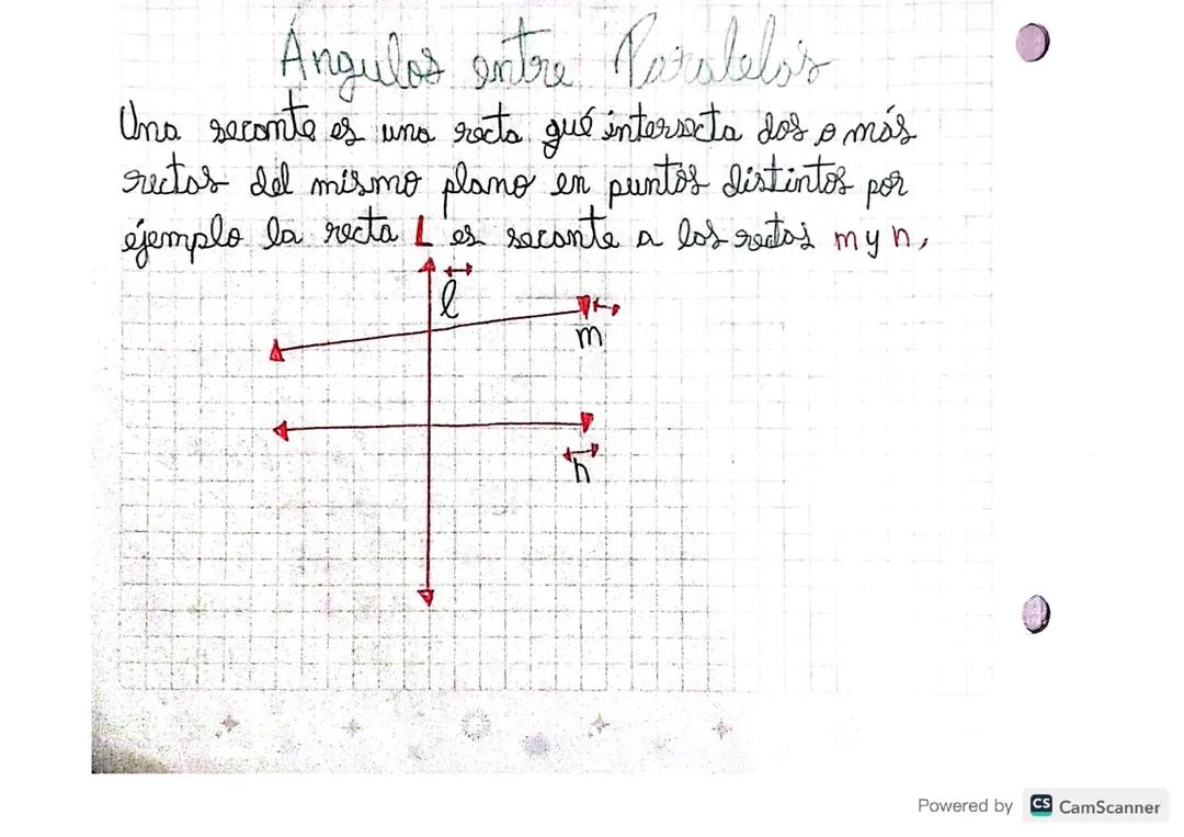 Angulos entre Paralelas 