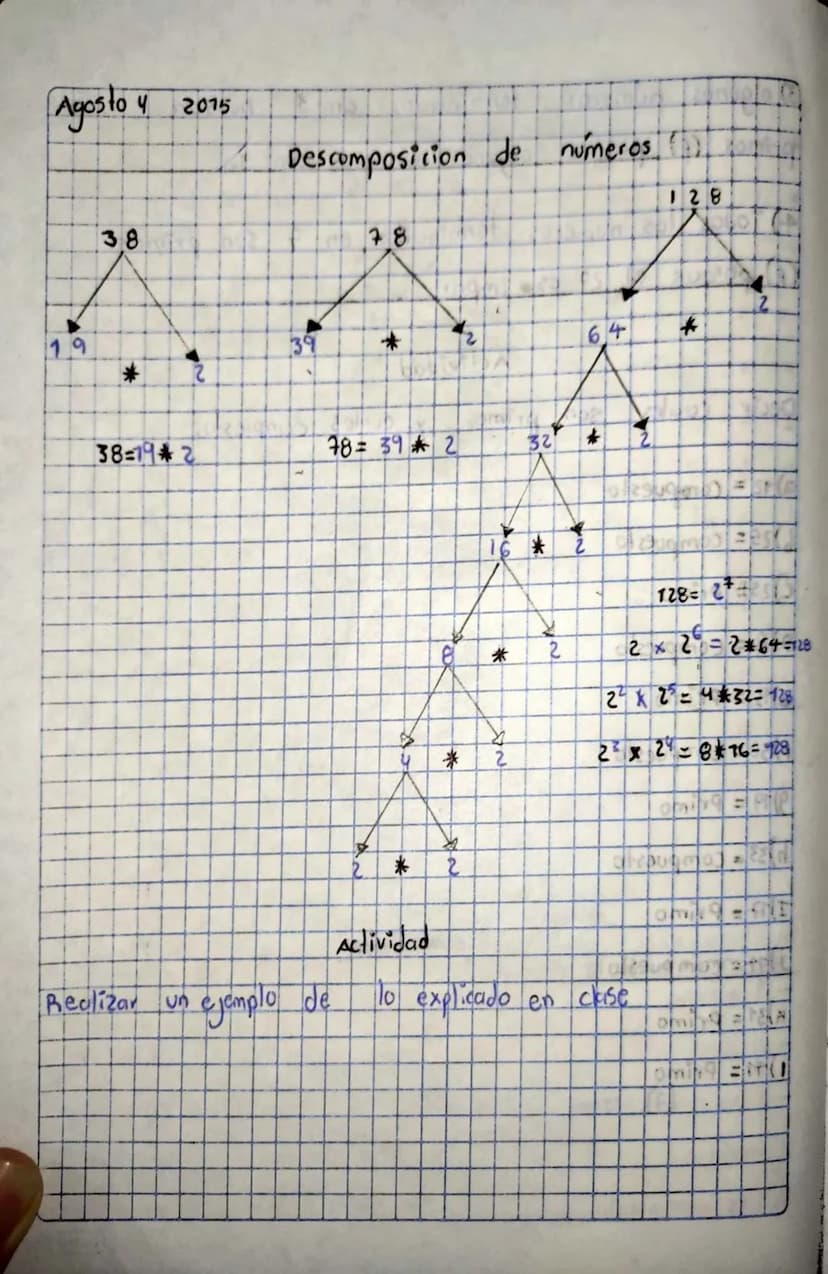 IT.I Pascual Bravo
Julian Gomez Lopez
Grupo: 67
Docentes Gonsalo Numeros
Primos
son multiplos de uno
* Sus divisores
son el numero 1
Y
el mi