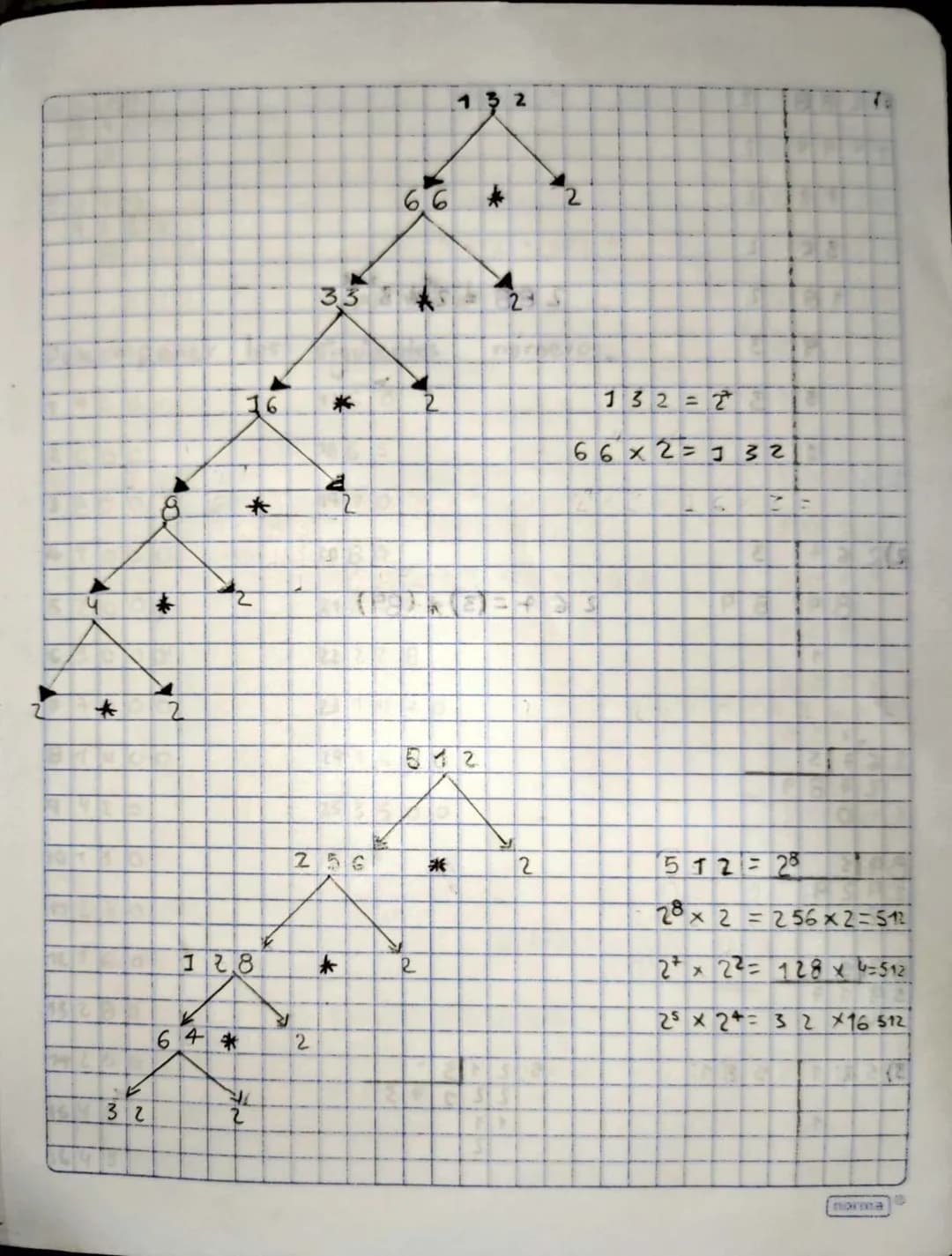 IT.I Pascual Bravo
Julian Gomez Lopez
Grupo: 67
Docentes Gonsalo Numeros
Primos
son multiplos de uno
* Sus divisores
son el numero 1
Y
el mi