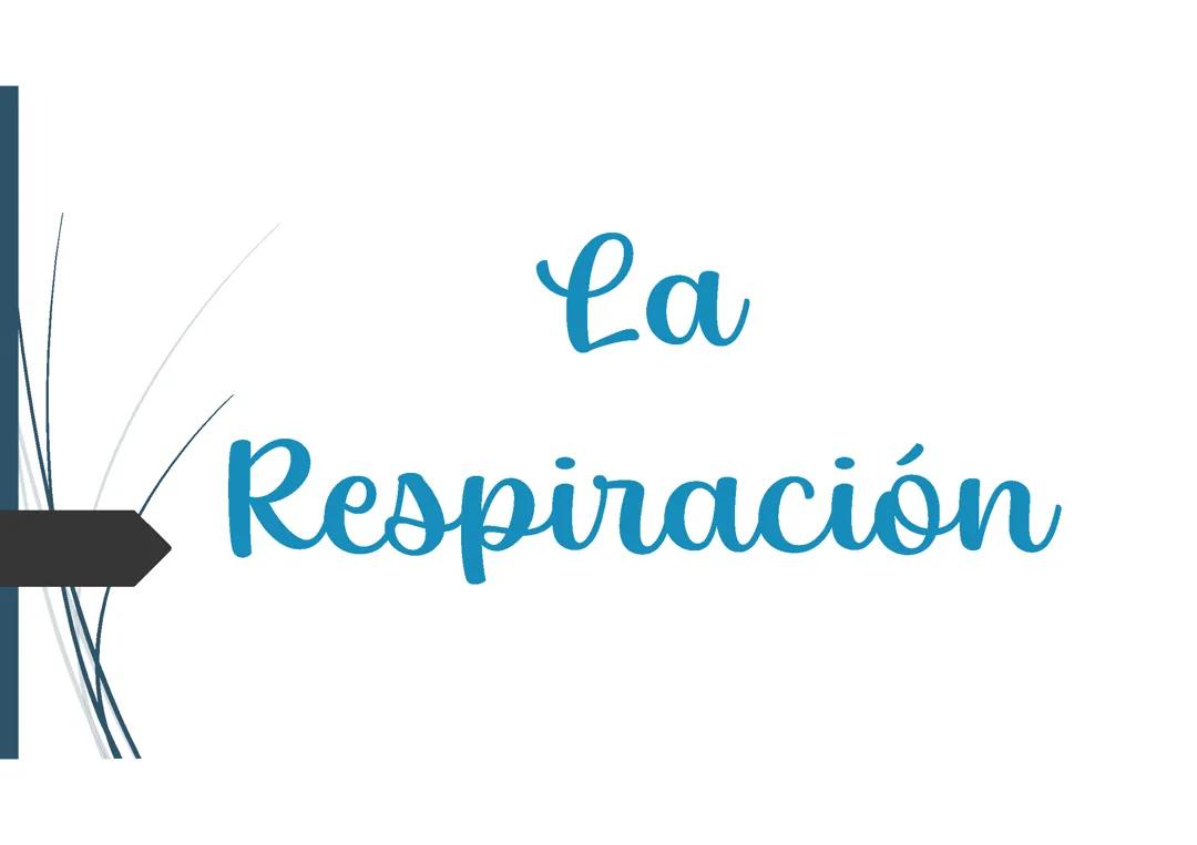 La Respiración