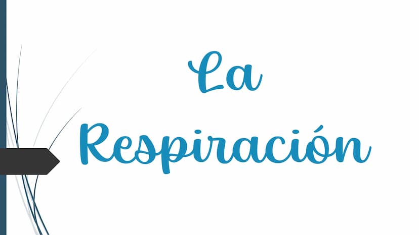 La
Respiración ¿Qué es la respiración?
• Pulmonar
La respiración externa, también
conocida simplemente como
respiración, consiste en llevar 