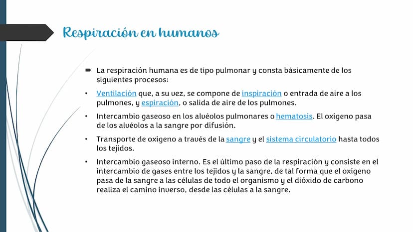 La
Respiración ¿Qué es la respiración?
• Pulmonar
La respiración externa, también
conocida simplemente como
respiración, consiste en llevar 