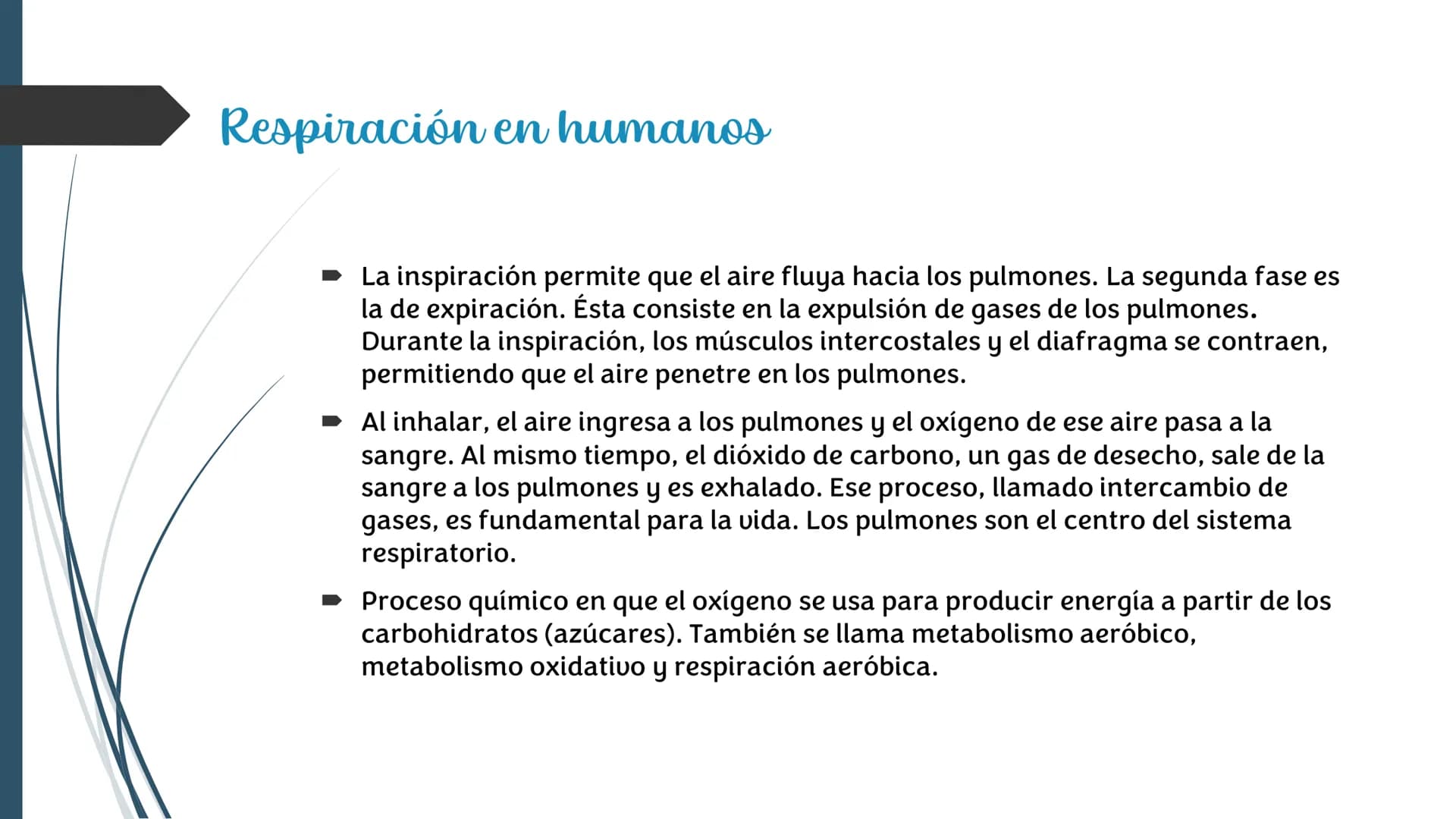 La
Respiración ¿Qué es la respiración?
• Pulmonar
La respiración externa, también
conocida simplemente como
respiración, consiste en llevar 