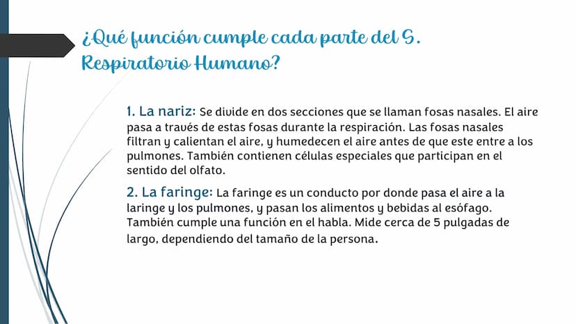 La
Respiración ¿Qué es la respiración?
• Pulmonar
La respiración externa, también
conocida simplemente como
respiración, consiste en llevar 