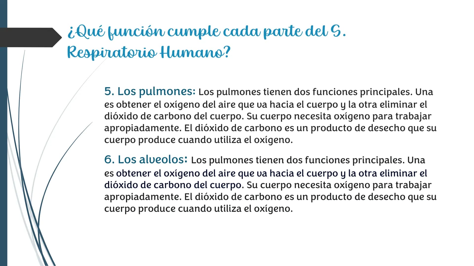 La
Respiración ¿Qué es la respiración?
• Pulmonar
La respiración externa, también
conocida simplemente como
respiración, consiste en llevar 