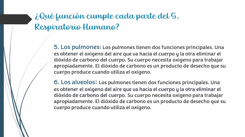 La
Respiración ¿Qué es la respiración?
• Pulmonar
La respiración externa, también
conocida simplemente como
respiración, consiste en llevar 