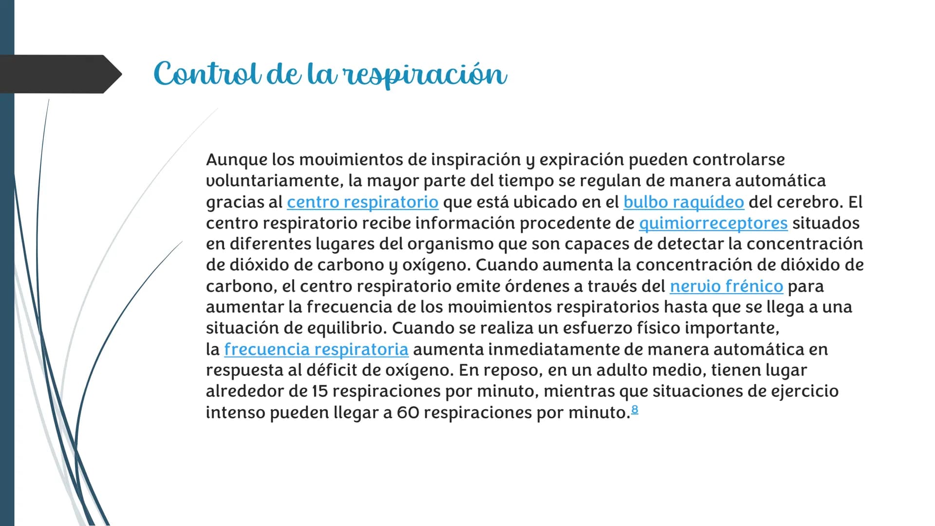 La
Respiración ¿Qué es la respiración?
• Pulmonar
La respiración externa, también
conocida simplemente como
respiración, consiste en llevar 