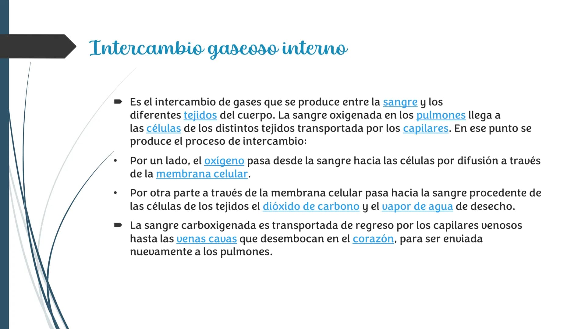 La
Respiración ¿Qué es la respiración?
• Pulmonar
La respiración externa, también
conocida simplemente como
respiración, consiste en llevar 