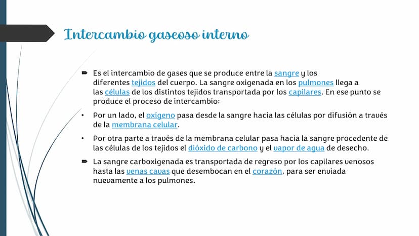 La
Respiración ¿Qué es la respiración?
• Pulmonar
La respiración externa, también
conocida simplemente como
respiración, consiste en llevar 