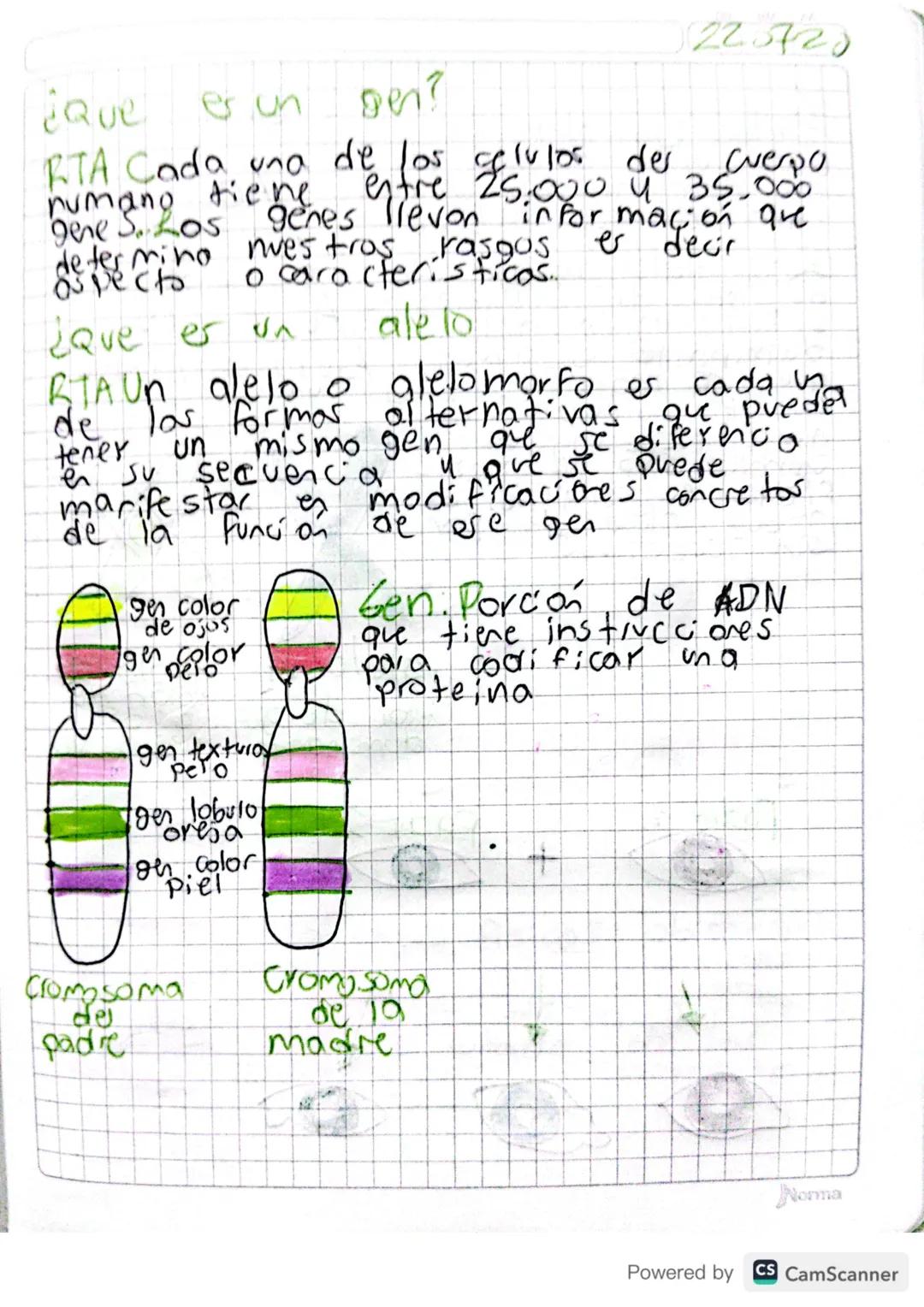 225720

¿Que es un sen? gen

RTA Fumangddiene Cada una de entre for 25.000. Eulos de 3 verpo
25.000 35.000
genes llevon información que
gene