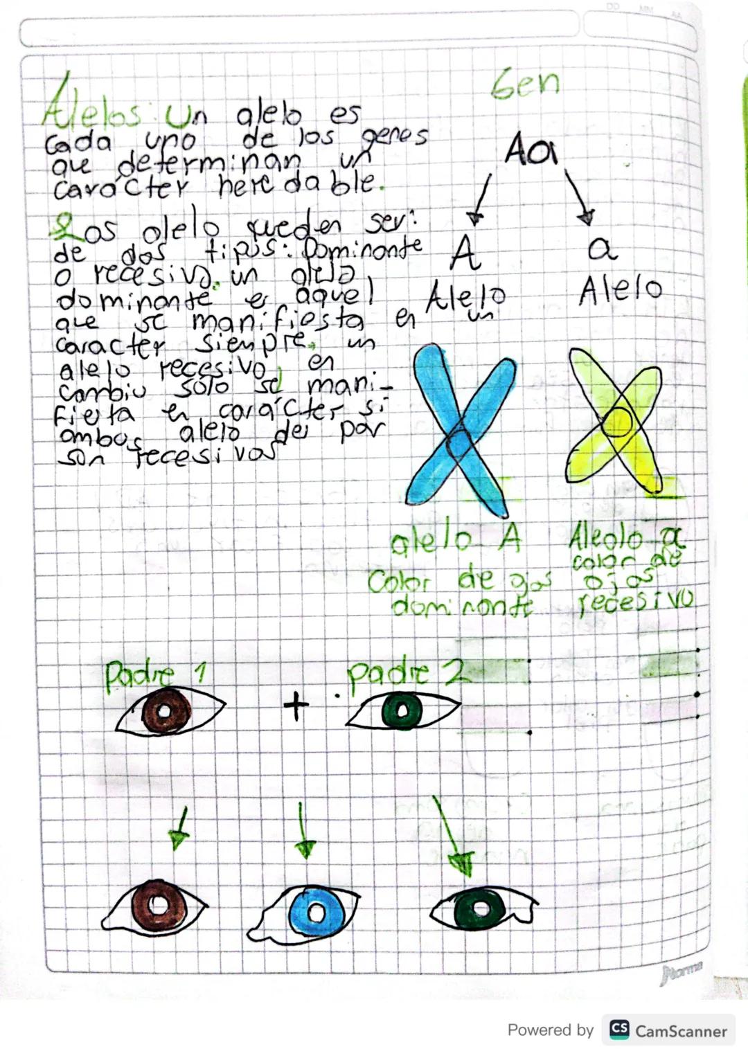 225720

¿Que es un sen? gen

RTA Fumangddiene Cada una de entre for 25.000. Eulos de 3 verpo
25.000 35.000
genes llevon información que
gene