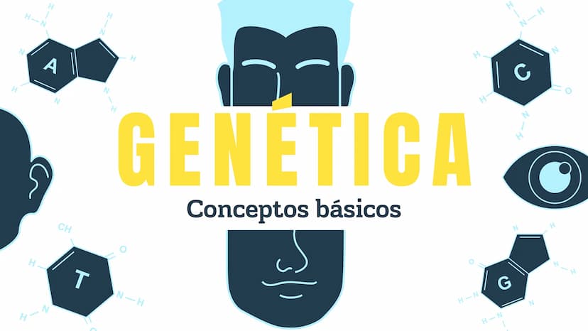 N
H-N
H
H
CH
H-
T
タール
こ
GENETICA
Conceptos básicos
N-H
H-N
G
HIN
H
N-H
C
4-2 TEMARIO:
1
¿Qué es la genética?
2
¿Dónde están los genes?
3 ¿Qu