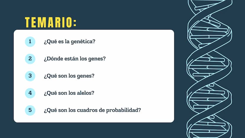 N
H-N
H
H
CH
H-
T
タール
こ
GENETICA
Conceptos básicos
N-H
H-N
G
HIN
H
N-H
C
4-2 TEMARIO:
1
¿Qué es la genética?
2
¿Dónde están los genes?
3 ¿Qu