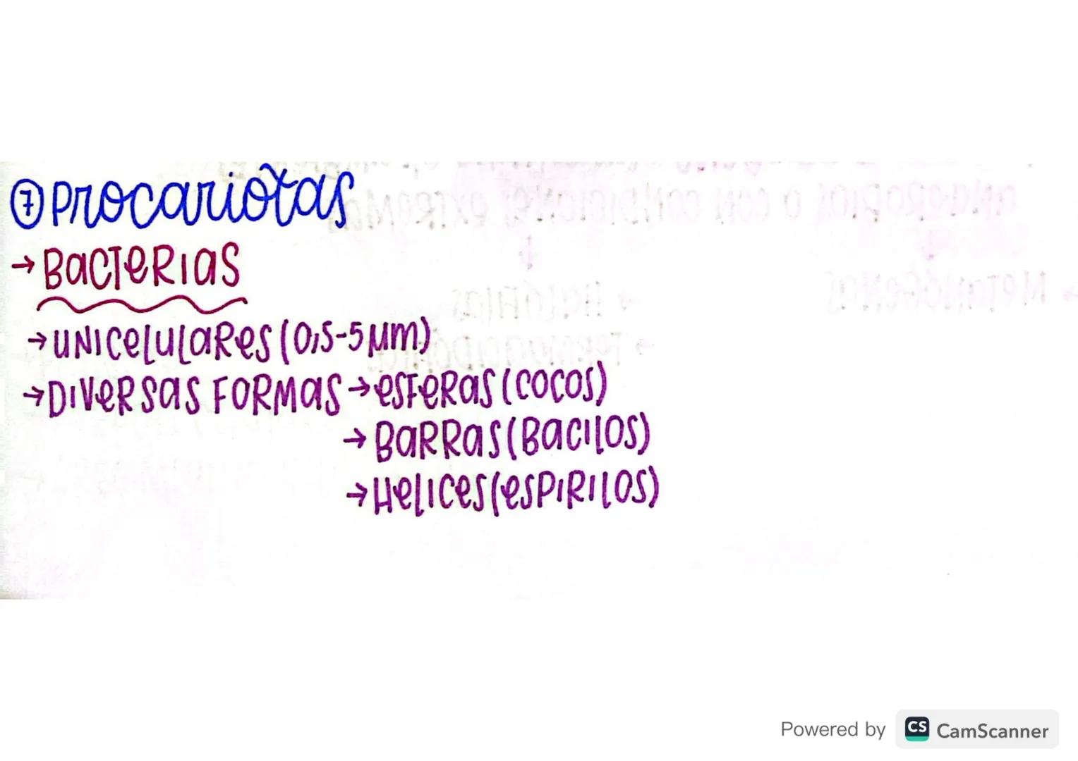 @Procariotasхо (околісно 100 в гордодерия
→BACTERIAS
→DIVERSAS FORMAS esferas (Cocos)
→ unicelulares (0,5-5μm)
→BARRAS (BACILOS)
→Helices(eS