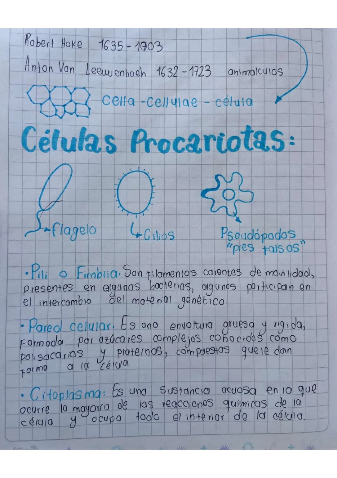 La célula eucariota y procariota