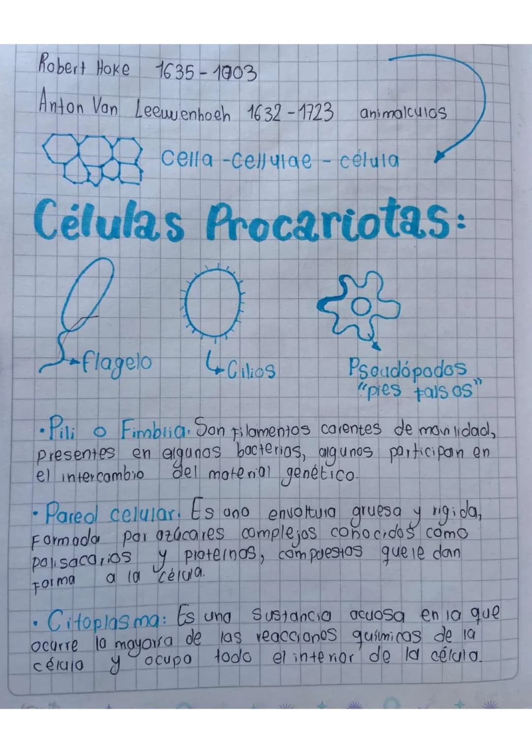 Robert Hoke
1635-1003
Anton Van Leeuwenhoeh 1632-1723 animalculos
Cella -Cellulae - celula
Células Procariotas:
0
Suflageto
4 Cilios
Pseudop