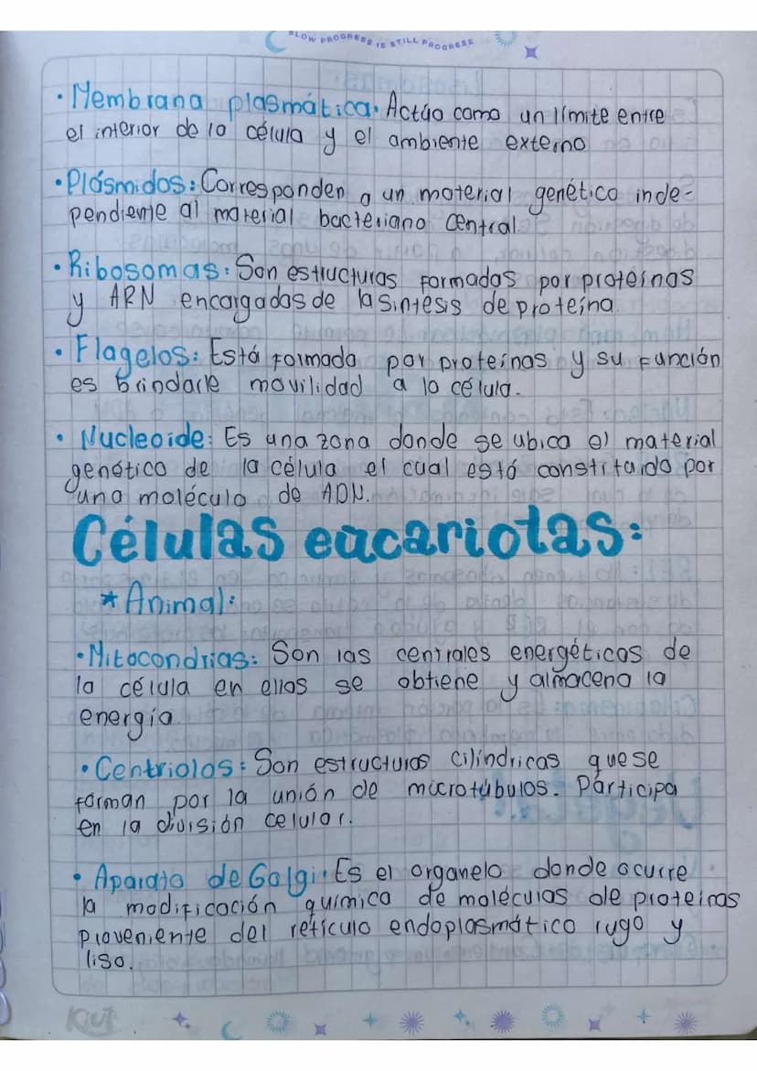 Robert Hoke
1635-1003
Anton Van Leeuwenhoeh 1632-1723 animalculos
Cella -Cellulae - celula
Células Procariotas:
0
Suflageto
4 Cilios
Pseudop