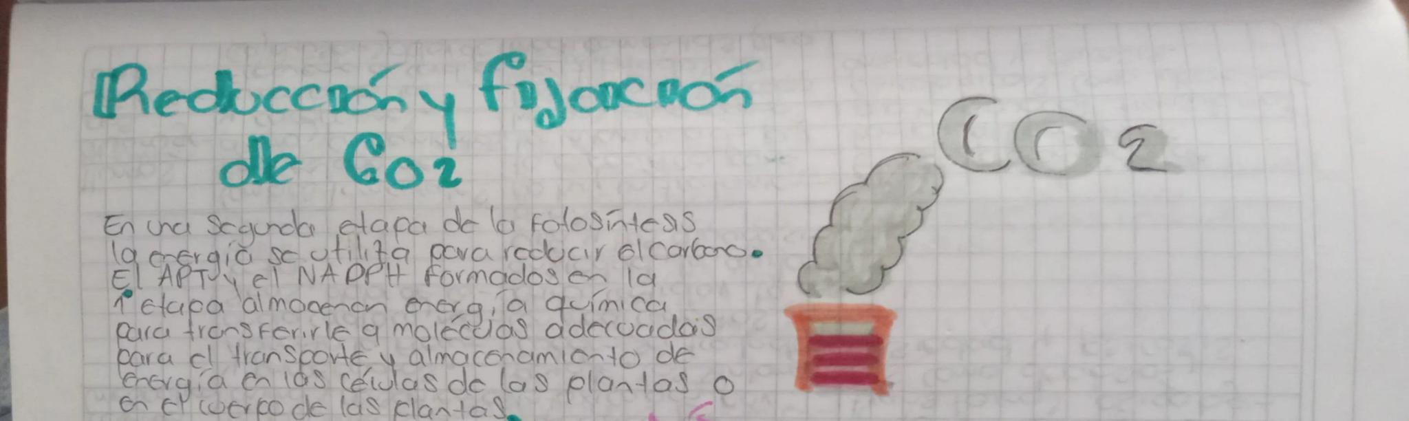 Fisidogía Vegetal

La fotosíntesis.

Único mecanismo do entrada de
Energía para la bosfero Ca
excepció de algunas bactenos
que obtienen ener